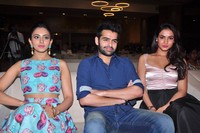 Pandaga Chesko Movie Success Meet